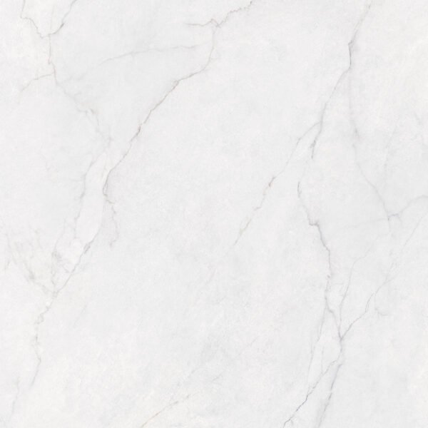 N.DISCOVER POL – Image 2